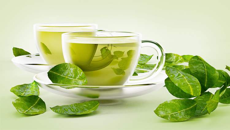 Grüner Bio-Sencha-Tee