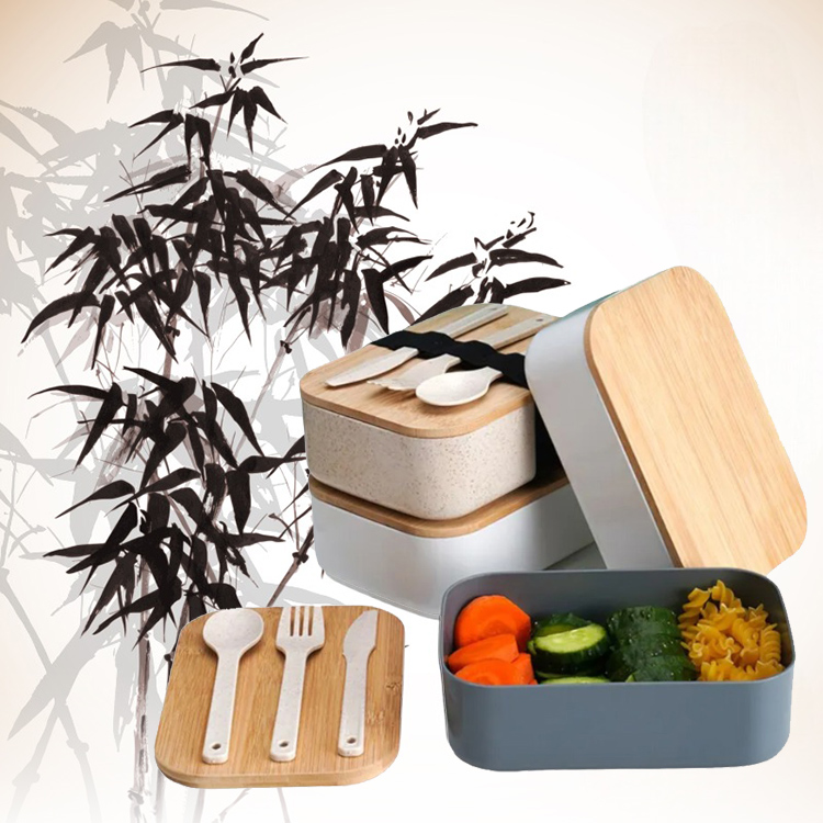 Japanese Simple Lunch Box