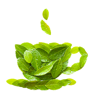 Grüner Tee