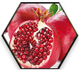 Lean Degree Stimulant Free