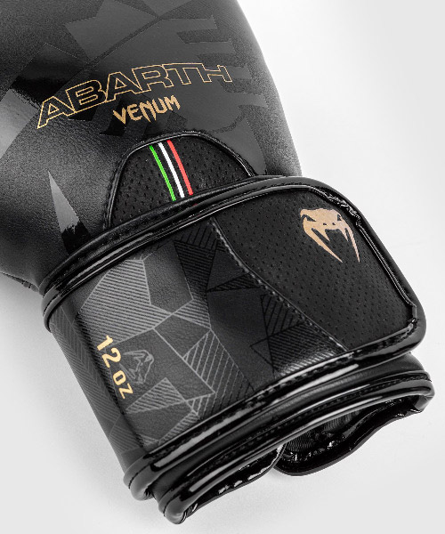 Abarth Boxing Gloves Black Gold