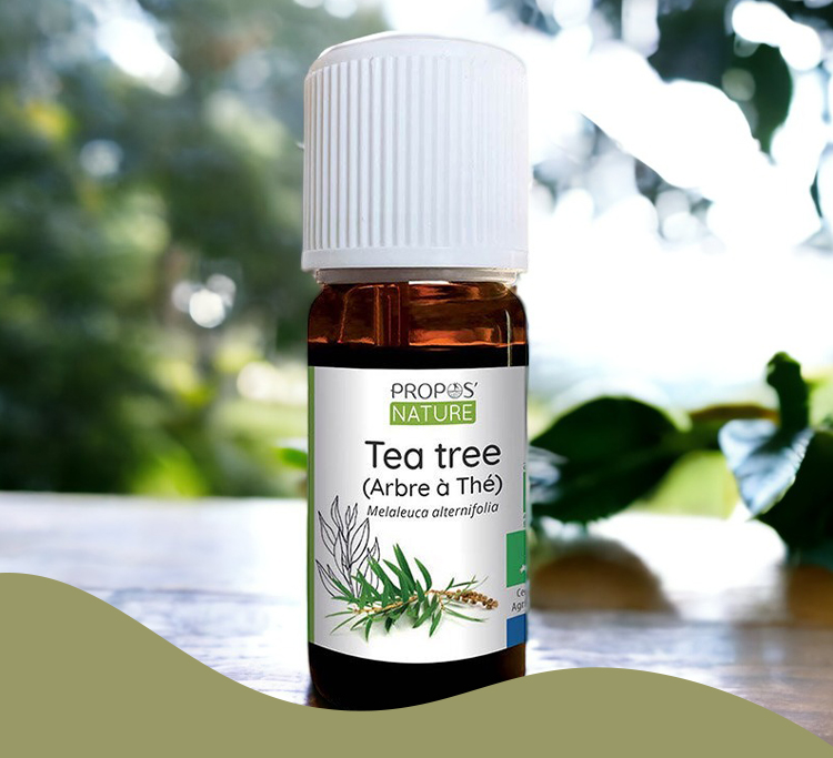 Ätherisches Öl Tea Tree Bio