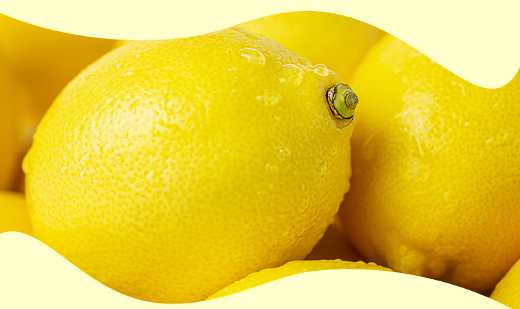 therisches Bio-l aus gelben Zitronenschalen