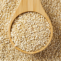 Organic Quinoa Macaroni