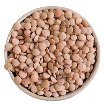 Lentils In Glass