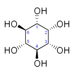 Complexe detoxifiant aux plantes