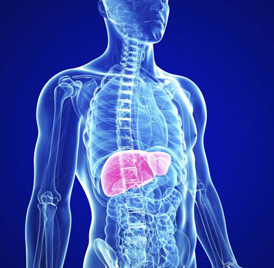 Complexe detoxifiant aux plantes