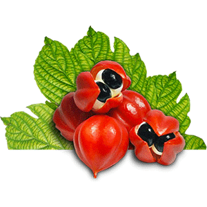 Complexe guarana et the vert pour la minceur