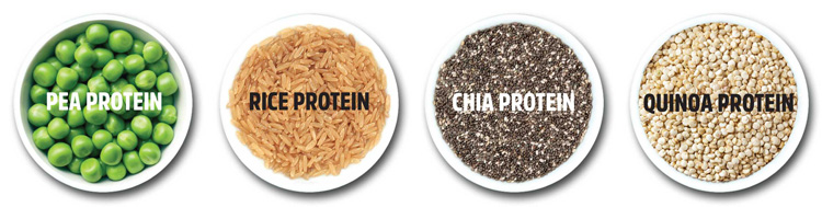 Substitut de repas complet Bio et Vegan