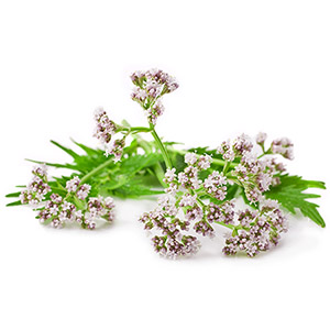 Complexe de plantes bio pour le sommeil