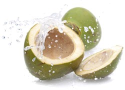 Bio Coconut Water Sport Formula