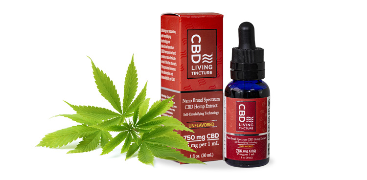 CBD Tincture